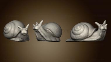 3D model Snail (STL)